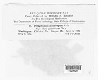 Image Associated With the Occurence